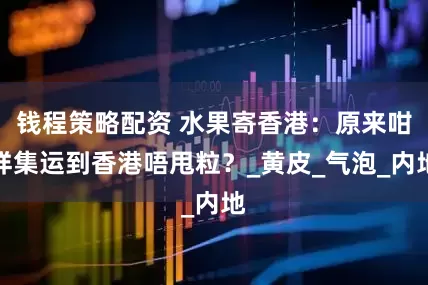 钱程策略配资 水果寄香港：原来咁样集运到香港唔甩粒？_黄皮_气泡_内地